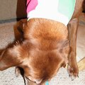 DSCF0244 (2)